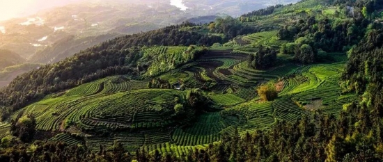 美麗島多焦鏡：這個(gè)明凈新春，以時(shí)間為軸，扶搖直上